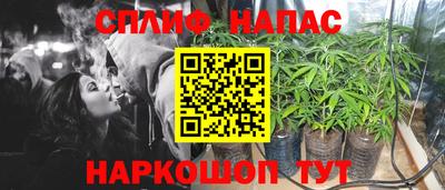 индика Конаково
