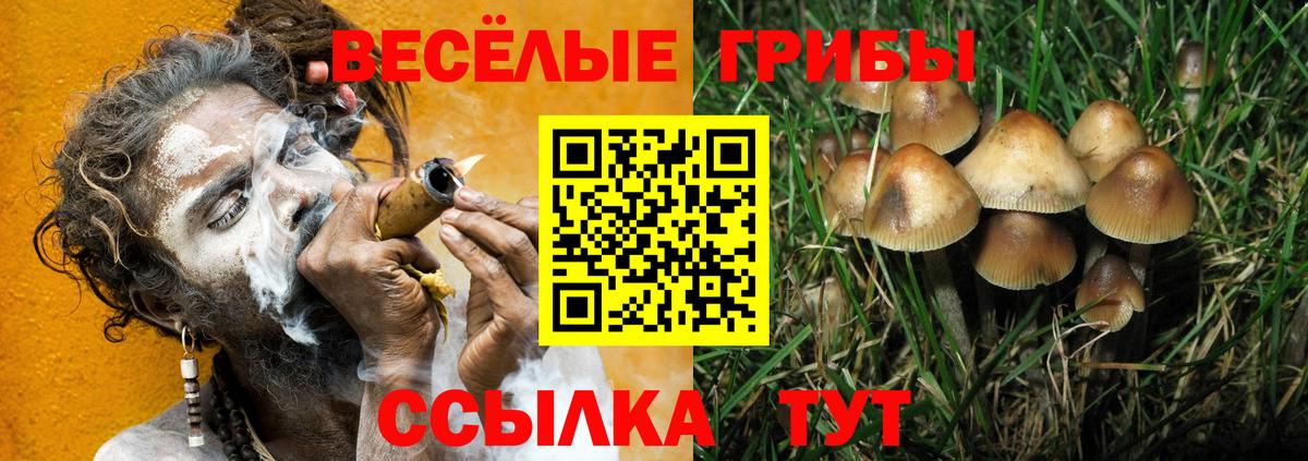 Псилоцибиновые грибы мицелий Черногорск