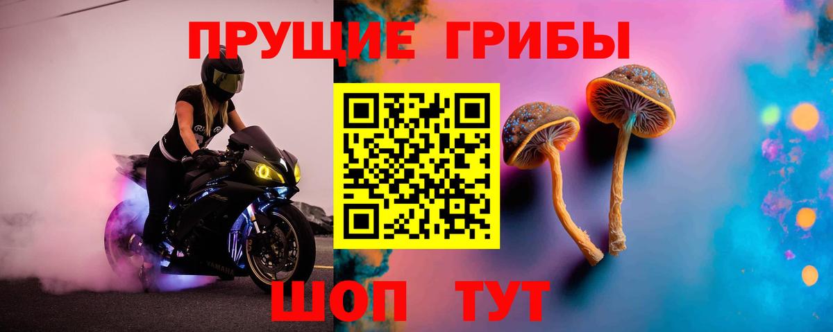 Черногорск  Псилоцибиновые грибы Magic Shrooms  купить наркоту  Вход с VPN 